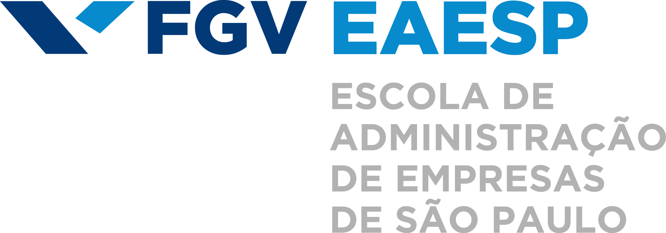 HKUST MIMT Double Degree - FGV EAESP Master in International Management